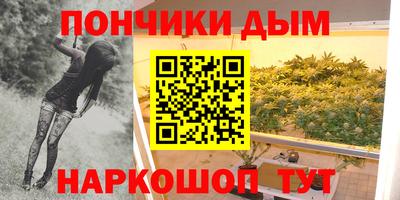 шишки Гатчина